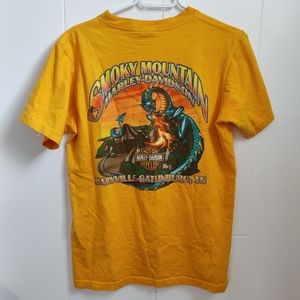 Harley Davidson vintage tee